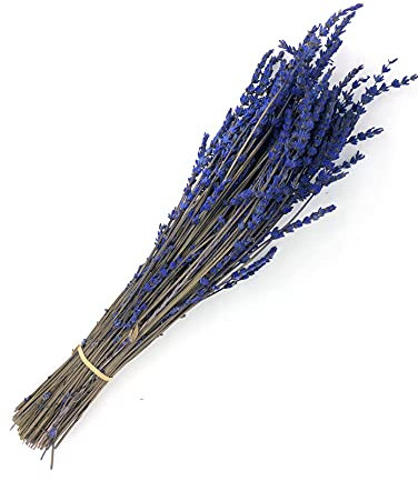 Getrockneter Lavendel Bündel Strauß in Box 100 Stück in kräftigem Lila Blau für Epoxidharz, zum Basteln und als Wohndekoration - Trockenblumen mit Stiel - Lavendelzweige Getrocknet