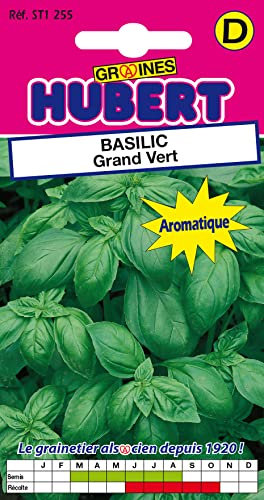 Graines de Basilic Grand Vert - 1,5 grammes