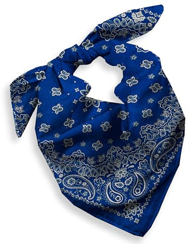 EVERY-VILLE Where EVERYone is Welcome 1 Pack Navy Blue Bandana for Women Men Gift Packaging - Cowgirl Cowboy Accessories Scarf Headband Neckerchief - Large Paisley Hair Face Covering
