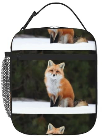 HKHLHLH Funny Fox Lunchbox für Männer und Frauen, isoliert, für Arbeit, Picknick, Reisen