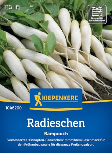 Kiepenkerl Radieschensamen Rampouch 1046200, Gemüsesaat