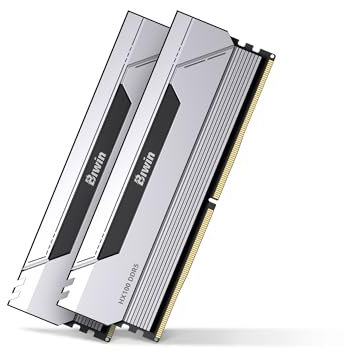 BIWIN Black Opal HX100 Mémoire RAM DDR5 32 Go (2 x 16 Go) 6000 MHz CL30 pour Ordinateur Portable XMP 3.0 AMD Expo Compatible Intel XMP Argenté