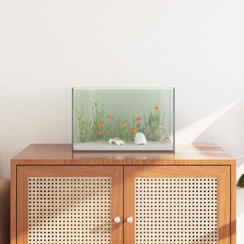 ChicAbode Aquarium mit Speicher Transparent 40 x 25 x 25 cm Glas