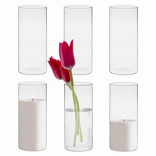 Winter Shore Vase Verre Transparent de 20,5 cm pour Centres de Table [Lot de 6] - Vases pour Fleurs, Bougies, Galets, Coquillages, Perles - Vases Decoratifs Moderne pour Intérieur & Mariage