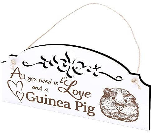 Schild Meerschweinchen Deko 20x10cm - All you need is Love and a Guinea Pig - Holz Wanddeko Dekoration Wand