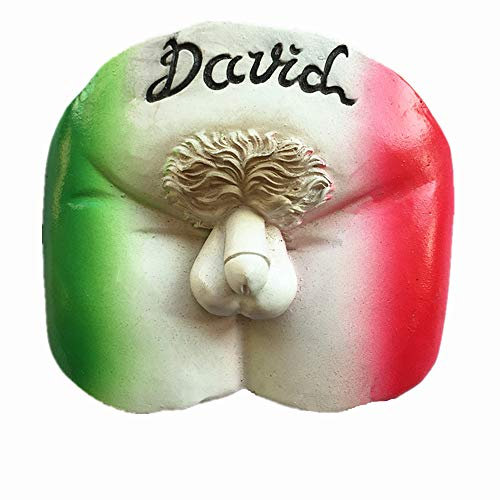 3D David statue Florence Italy fridge magnet,Home & kitchen decoration magnetic sticker, Firenze Florence refrigerator magnet travel souvenir gift