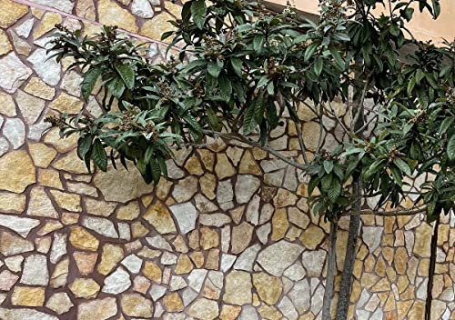 Generico Dekorative Steinfliese Dicke 2/3 cm Innen- und Außenverkleidung pro qm (100 Fliesen)