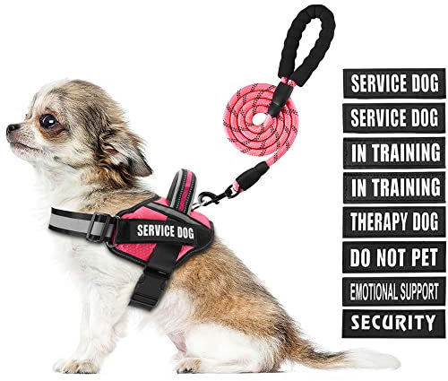 Service Dog Hundegeschirr, Geschirr und Leine, Animire in Trainings-Hundegeschirr mit 10 Hundeflicken, reflektierende Hundeleine mit weich gepolstertem Griff für kleine, mittelgroße, große und extra