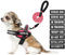 Service Dog Hundegeschirr, Geschirr und Leine, Animire in Trainings-Hundegeschirr mit 10 Hundeflicken, reflektierende Hundeleine mit weich gepolstertem Griff für kleine, mittelgroße, große und extra