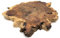 Wooden Chopping Board Unique Live Edge Rustic Chunky Log Slice (20-25cms)