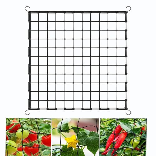 Wachsen Zelt Netz 120x120 cm, Elastische Spalier Netz, Grow Netz mit 4 Haken für Pflanzen für Pflanzen, Gemüse, Obst, Blumen, Mesh Zelt Ranknetz für Garten, Hof, Gartenarbeit