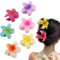 6 Cabello de Piezas Hair Accessories,Pinza pelo flor,Hebillas de Pelo de Flor Antideslizante para Mujeres Niñas,Clips Pelo Flor Colores Pinzas,Hebillas Pelo Grandes Adecuadas para Todas las edades