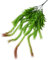 ADOSSAC Plante Artificielle Feuilles Lierre Artificielle Guirlande Fausse Plante de Decoration,Plante Artificielle Suspendue Lierre pour Decoration Interieur Mariage Murale Exterieur Balcon