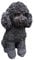 Aspinaworld Gartenfigur, Schwarze Welpen Pudel Figur sitzt 27 cm,Figur für den Garten, wetterfeste Deko