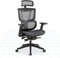 FLEXISPOT ErgoX Pro Ergonomic Executive Mesh Office Chair Swivel Height Adjustable Seat Headrest Armrest and Independent Lumbar Support Caster Wheels Task Office Desk Chair