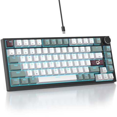 SbocKeeb V400 Custom Gaming Keyboard 75 percent Hot-Swappable, 75% Wired Mechanical RGB Keyboard with Gasket and Sound Absorbing Pads Programmable American QWERTY for Mac/Win V400 Mist