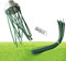 Brosse désherbante professionnelle pour débroussailleuse et débroussailleuse, accessoire universel avec 32 PA 66 fils de nylon, élimination efficace des mauvaises herbes sauvages, longue durée de vie