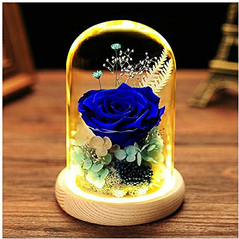 XUMI Rose Eternelle sous Cloche La Belle Et La Bete avec Lumineuse LED, Dôme en Verre Et Base en Bois, Fête des Mères Saint-Valentin Cadeaux Anniversaire Décoration,Bleu