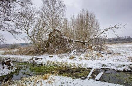 adrium Holz-Bild 120 x 80 cm: Winter auf dem Feld (55236614)
