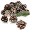 COM-FOUR® 30x Anhänger Tannenzapfen mit silberfarbenen Spitzen - Pinienzapfen als Weihnachtsdekoration - Zapfen Deko zum Anhängen - Bastel Set - Weihnachtsschmuck (30 Zapfen - silberfarben)