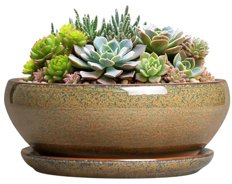 SQOWL Succulent Pots - 8 Inch Ceramic Bonsai Pots, Round Shallow Planter with Drainage Hole and Saucer, Succulent Indoor Planter, Bowl Planters Outdoor, Apartment Decor, Gifts for Women, Brown