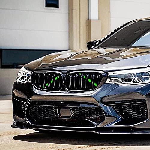 DWVV-F20 F30 Inserti Griglia Auto Accessori per BMW 2 3 Series 2012-2018, Inserti Griglia Anteriore Radiatore per 320i 328i 330i 335i 428i (F20 F30, Verde)…