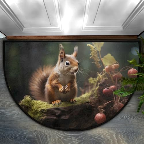Mexpekil Große Fußmatte Wildtier Eichhörnchen Indoor Halbmond Willkommensmatte für Haustür Eingang rutschfeste weiche Küchenmatten Schlafzimmer Teppich 91,4 x 61 cm