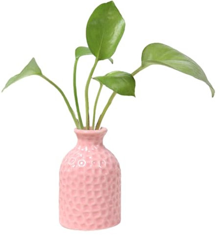VALINK Petits vases décoratifs en céramique pour fleurs, mini vase à fleurs en céramique, joli vase de bureau en céramique, arrangement floral, décoration pour la maison, la chambre à coucher, rose