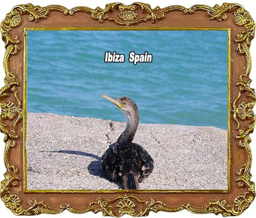 Kühlschrankmagnete, Motiv: Ibiza, Spanien, Tourismus, Souvenir, Kühlschrankdekoration, Magnet