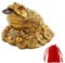 WYMAODAN Pièce de Monnaie Grenouille Porte-Bonheur, pièce de Monnaie Crapaud Feng Shui Porte-Bonheur Chinois pour Cadeau de décoration d'intérieur de prospérité avec Un Sac Porte-Bonheur