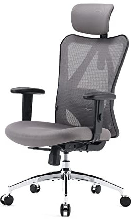 SIHOO Office Desk Chair, Ergonomic Computer Chair with Adjustable Headrest and Lumbar Support,High Back Executive Swivel Chair (Dark Gray)