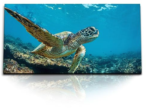 Paul Sinus Kunstdruck Bilder 120x60cm Seeschildkröte unter Wasser Korallen Blau Ozean