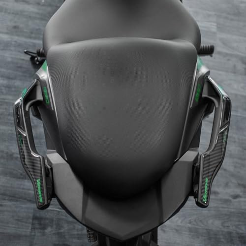 Resin Bike Adesivi Moto Compatibile con Kawasaki Versys 650 2022-2024 Verde. Protezioni Maniglie Passeggero da Urti e Graffi. Adesivi Resinati con Effetto 3D Made in Italy