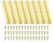 PATIKIL Mini Charnière de Piano 65 x 15mm, 8 Pcs Mini Charnières de Boîte à Bijoux à 180 Degrés avec Vis pour Boîtes à Bijoux en Bois, Doré