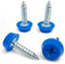 x4 Blue Oversized Number Plate Screws With Caps, License Plate Screw Cap Car License Plate Fixing Devices