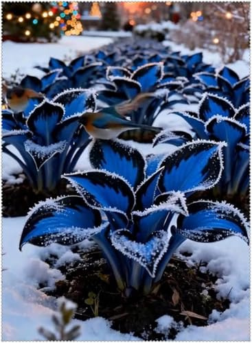 Luftreinigung-3 years-Mysteriöse magische Glühbirne, Hosta pflanze,Winterhart pflanzen,Mehrjährige Blumenzwiebel ist winterhart - 4 Pflanzen Hosta Rhizom-B