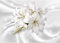 Runa Art Fototapete Blumen Lilien 3d 352 x 250 cm Vlies Tapeten XXL Moderne Wandtapete Wohnzimmer Schlafzimmer Weiss Grün 9356011a