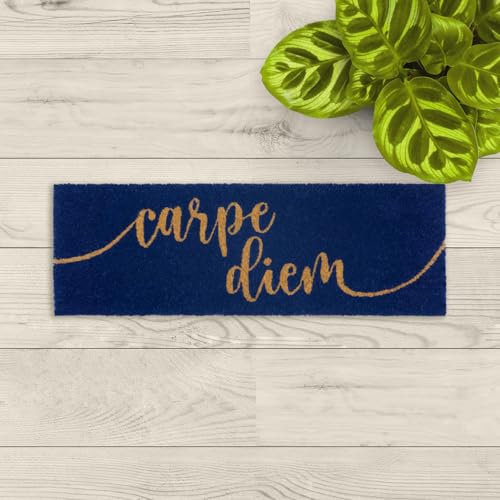 LA KO Kokosmatte 25 x 75 cm - handgefertigte Bedruckte Fußmatte aus nachhaltigen Kokosfasern und PVC-Rücken - Türmatte für erhöhte Rutschfestigkeit (Carpe Diem blau)