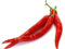 40 graines PIMENT DE CAYENNE (Caps. Ann.) K105 RED CAYENNE HOT CHILI PEPPER SEEDS