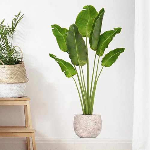 Uonlytech Papier Peint À Motif De Plantes En Pot Décoration Murale Et De Fille Plastique Sûr Et Doux Design Unique