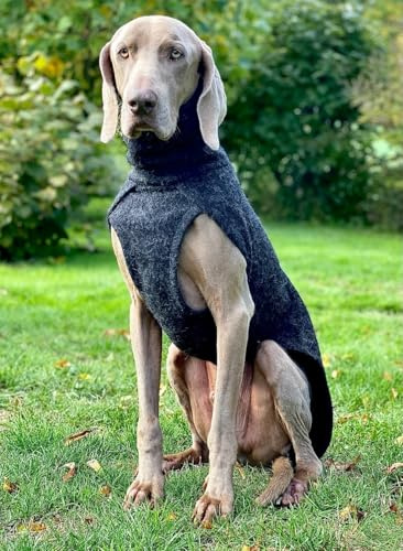 EDEL&SCHNELL Hundemantel warm, Hundejacke aus Wolle, Wintermantel für Hunde mit Rückenlänge von 65-70cm, Schwarz mit langem Kragen und Reflektoren