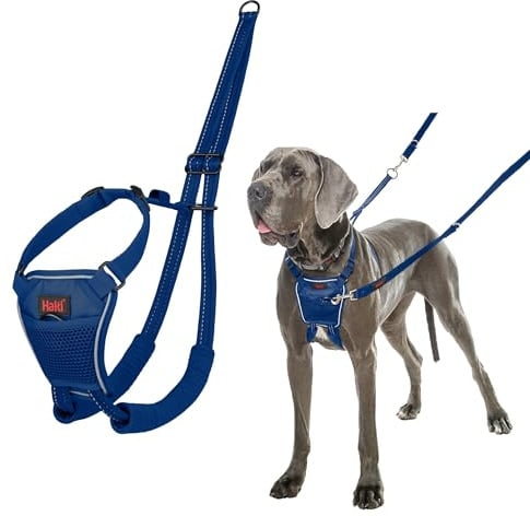 HALTI No Pull Anti-Zug Geschirr - Verhindert, DASS Ihr Hund an der Leine zieht, Gepolsterter Brust- und Beingurt, Reflektierendes Gurtmaterial, Einfache Anpassung und Benutzung (Größe L, Kobaltblau)