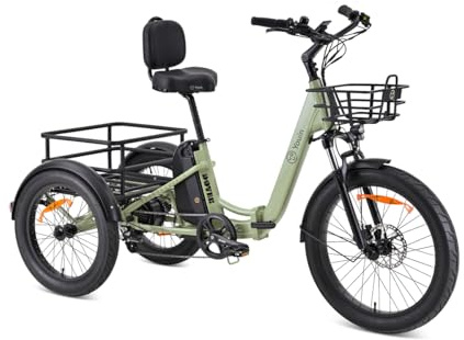 Youin Dover Cargo E-Bike Pliable Vert – Moteur Central 250W 57Nm, Batterie Amovible jusqu'à 100km, Roues 24+20, Charge 200kg, Freins Hydrauliques, Changement Shimano 7V, Porte-Bagages Avant et
