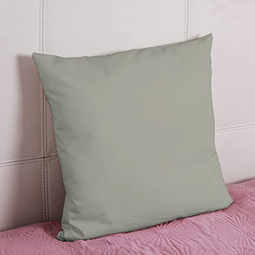 Pizuna 2er Pack Kissenbezug 80x80 cm Baumwolle Silber 800 Fadenzahl | Luxuriöser Soft-Satin 2er Pack Quadratisch Kissenbezüge, 100% Langstapel Baumwolle Nur Kissenbezug Mako Satin