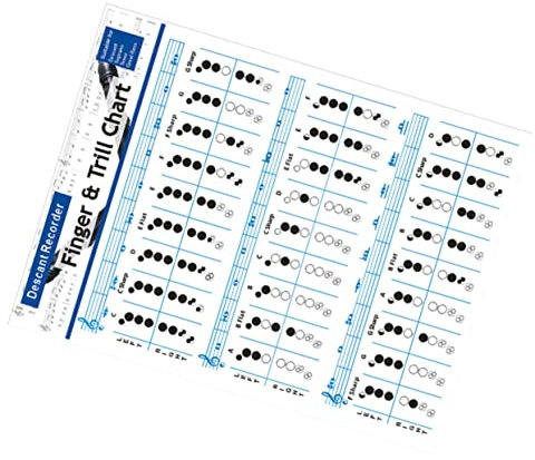 TOPPERFUN Flötenakkorddiagramm Beschichtetem Papier Tragbares Übungsdiagramm Zubehör Zum Üben Von Akkorden Für Flötenanfänger Und Anfänger