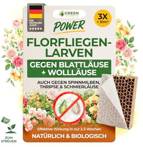 GREEN GUARDIA Florfliegenlarven – Nützlinge gegen Blattläuse & Wollläuse- 3 Waben für bis zu 30 m² – Für Zimmer-, Gemüse- & Zierpflanzen