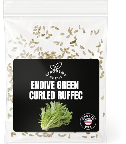 Endive Curled Ruffec Seeds for Planting – 500+ Non-GMO Heirloom Frilly Leaf Salad Green, Cool Season Crop for Spring & Fall, High Germination (Cichorium endivia)