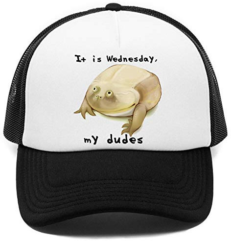 It is Wednesday My Dudes Kappe Baseball Rapper Cap