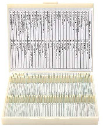 25PCS Prepared Microscope Slides Set, Microscope Slides With Wooden Slide Storage Box, Microscope Slides Prepared Lab For Basic Biological Science Education