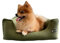 Loop Orthopädisches Hundebett Grün M für große Hunde - Recyceltes Flockenfüllmaterial, Waschbarer, robuster Baumwollbezug mit soliden Reißverschlüssen, Allergikerfreundlich, Indoor/Outdoor